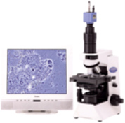 細菌顕微鏡検査